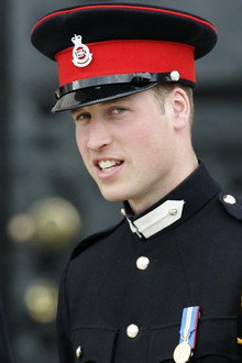 William et Harry, une saga royale