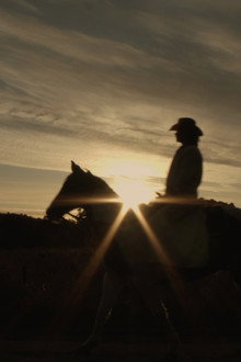 Toxteth Cowboy