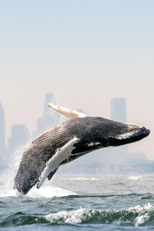 Blue Planet III