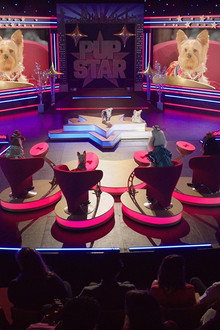 Pup Star: World Tour