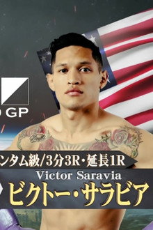K-1 WORLD GP 2017 JAPAN ~初代ヘビー級王座決定トーナメント~