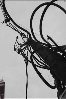Cementiri d'antenes