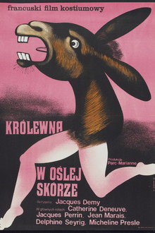 Królewna w oślej skórze
