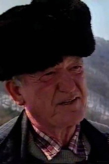 Ștei