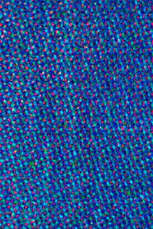 Blue Movie
