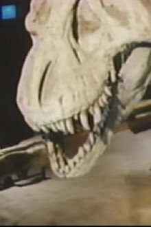 The Real Jurassic Park