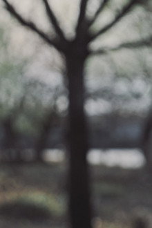 Cross & Dagger
