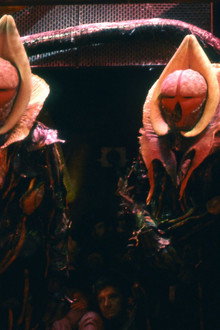 Doctor Who: Terror of the Vervoids