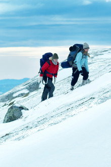 Fjellet