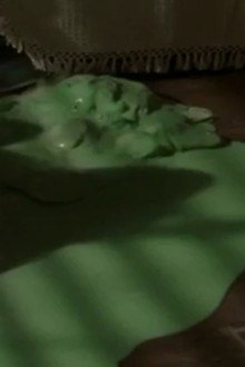 Goosebumps: Monster Blood