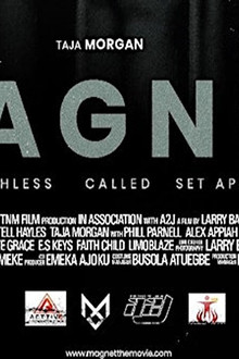 Magnet