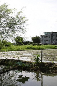 港米