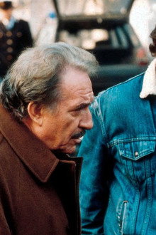 I giorni del commissario Ambrosio