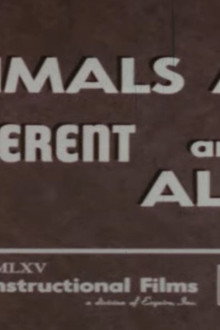 Animals Are Different and Alike