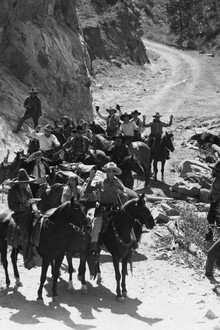 The Hurricane Horseman