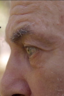 A Menina dos Meus Olhos