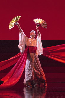 The Metropolitan Opera: Madama Butterfly