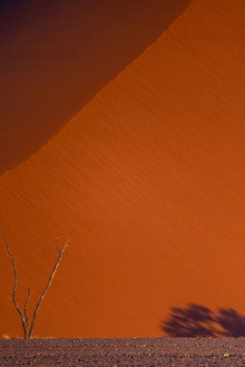 Namibie : exceptionnelle par nature