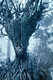 The Witcher Bestiary Season 2