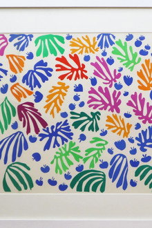 Becoming Matisse