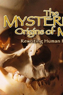 The Mysterious Origins of Man