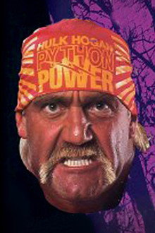 WWE Survivor Series 1991