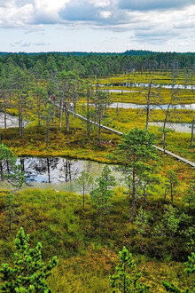 Nationalparks im Baltikum
