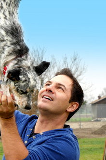 World's Greatest Dogs