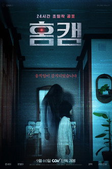 홈캠