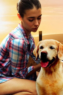 The Dog Lover