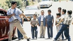 Pelicula Mi familia poster latino Mi familia peli latino online