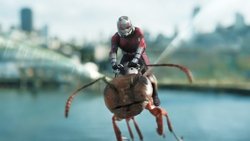 Ver Trailer pelicula Ant-Man y la Avispa latino Trailer latino Pelicula Ant-Man y la Avispa