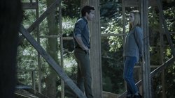 Ver le ultimo trailer Ozark serie online Nuevo Trailer de Ozark serie online