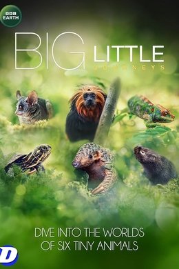 Big Little Journeys season poster