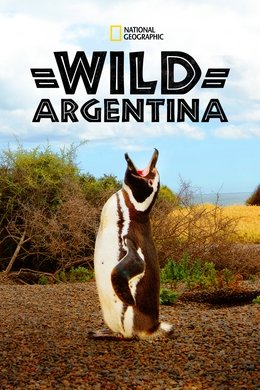 Wild Argentina season poster