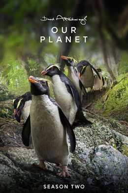 Our Planet season poster
