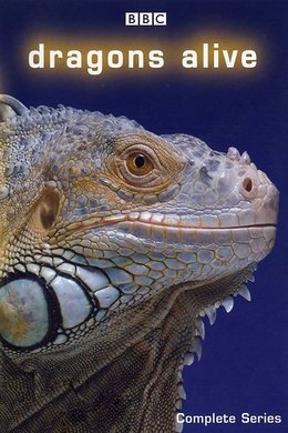 Dragons Alive season poster