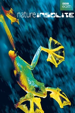 Weird Nature season poster