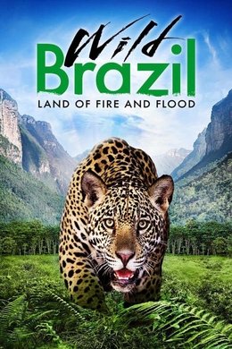 Wild Brazil season poster