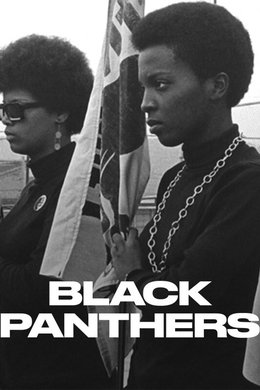 Black Panthers season poster