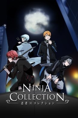 Ninja Collection season poster