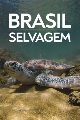 Brazil Untamed season poster