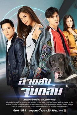 Detective K9 season poster
