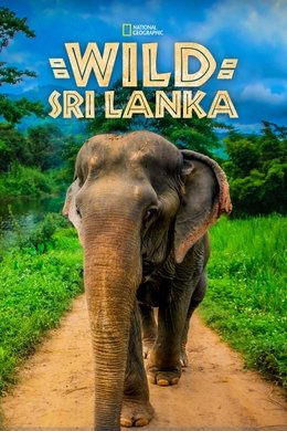 Wild Sri Lanka season poster
