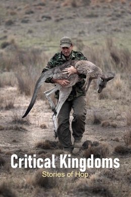 Critical Kingdoms - Stories of Hope season poster