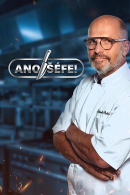 Yes, Boss! season poster