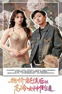 物价贬值后被高冷女神倒追 season poster