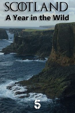 Scotland: A Year In The Wild season poster