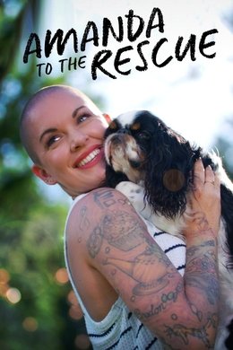 Amanda to the Rescue season poster