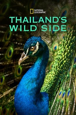 Thailand's Wild Side season poster